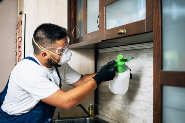 Best Pest Removal Services  in Grenelefe, FL