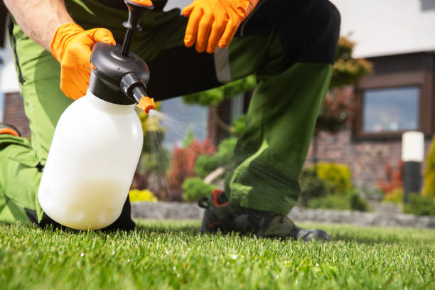 Pest Control Cost in Grenelefe, FL