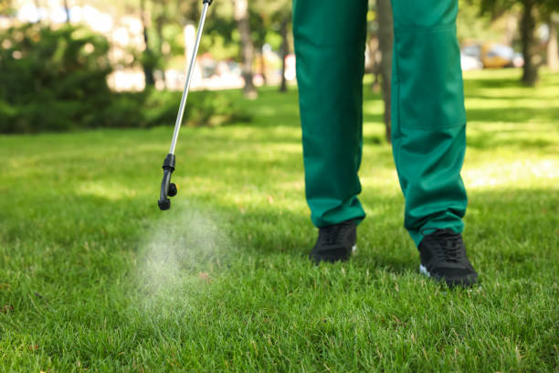 Best Ant Control Services  in Grenelefe, FL