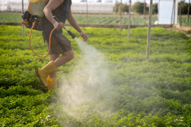 Best Pest Prevention Services  in Grenelefe, FL