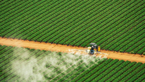 Best Pest Inspection Near Me  in Grenelefe, FL