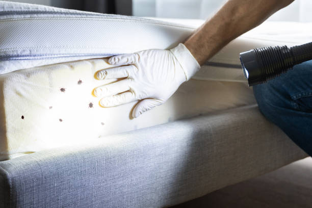 Best Residential Pest Control  in Grenelefe, FL